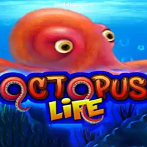 Explore the Exciting Universe of OctopusLife on PK44.com Platform - Online Slots Brasil #1